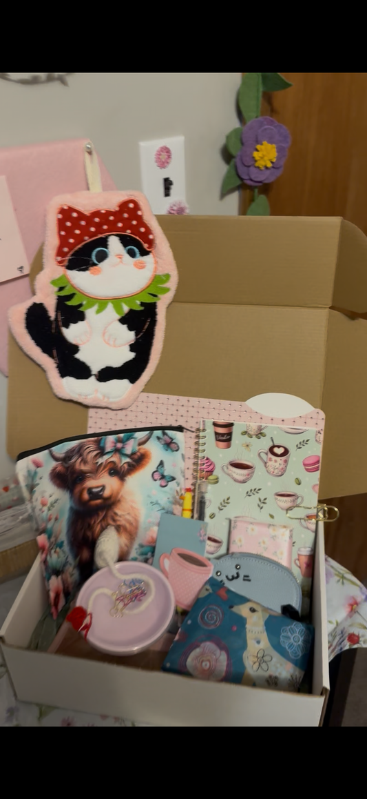 Mini Scoop Mystery Box